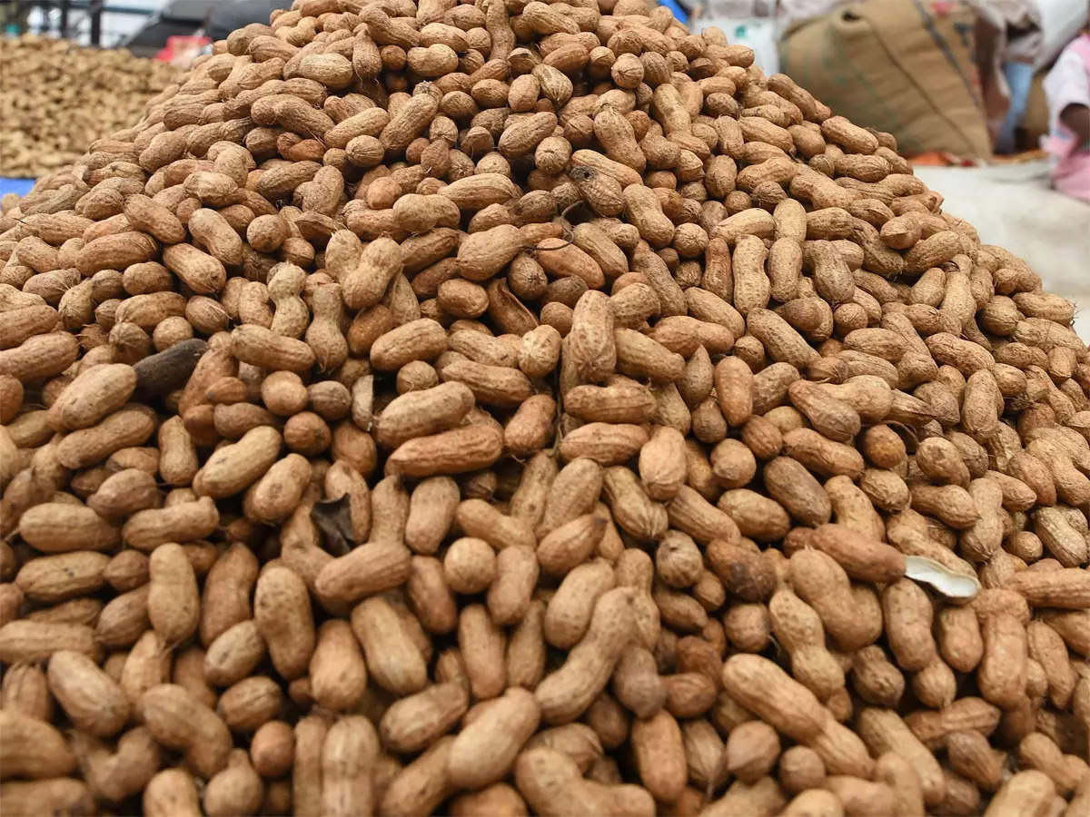 Kharif sowing of groundnut falls 0.3 MH for 2022-23 season