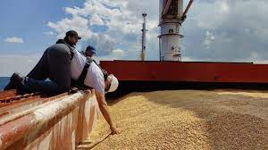 What Russia's suspension of grain deal could mean