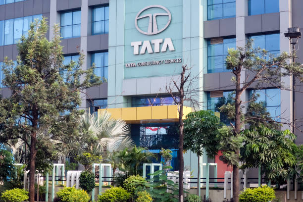 TCS shares trade ex-dividend today. What investors should know