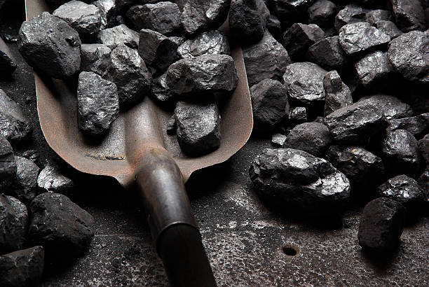 India's coal import rises 27% in December
