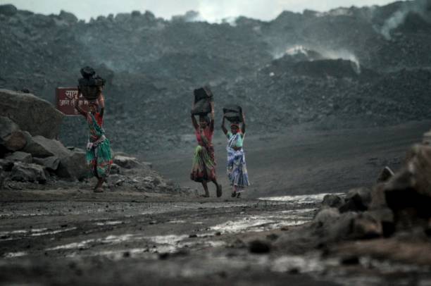 India coal imports plunge with Adani, Tata slashing purchases