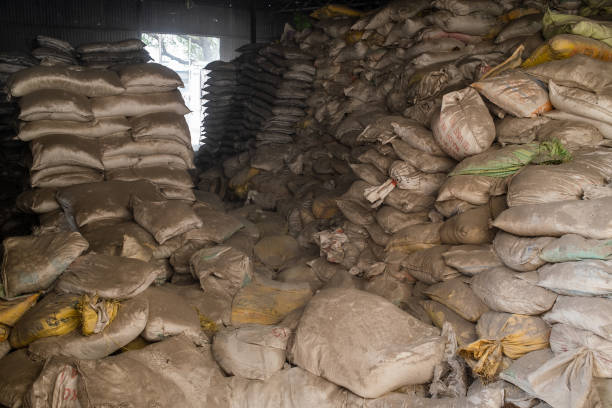 Ambuja Cements clocks strong Q1 operational performance