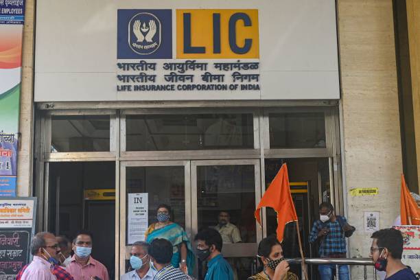 LIC share price hits new low, market cap dips below Rs5 lakh crore