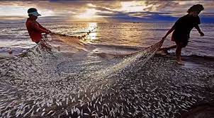 India rejects unfair text on fishery subsidies at WTO