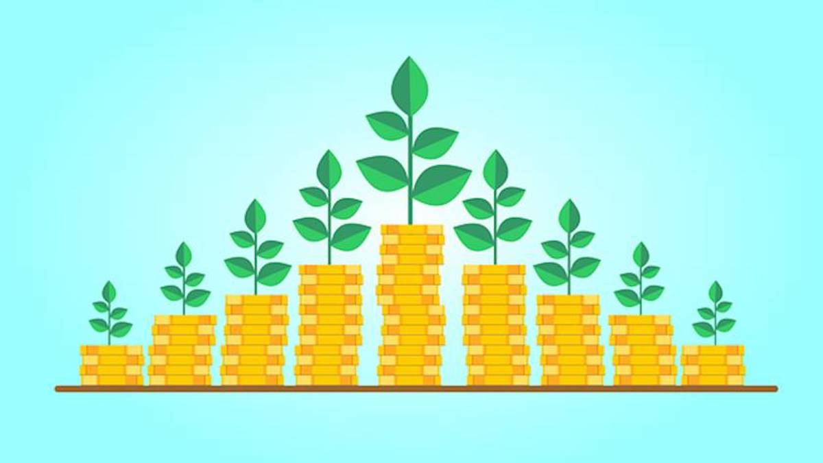 Best Mid Cap Funds (December 2022): Top-performing schemes since launch