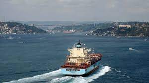 First Ukrainian grain shipment since invasion reaches Turkey  