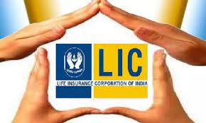 LIC falls 2.8%, market cap slides below Rs 5 trillion