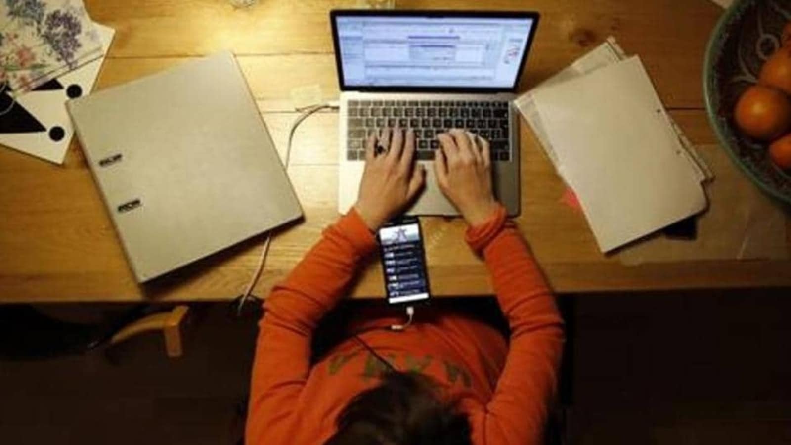 Govt mulls ‘work from home’ for all SEZ employees