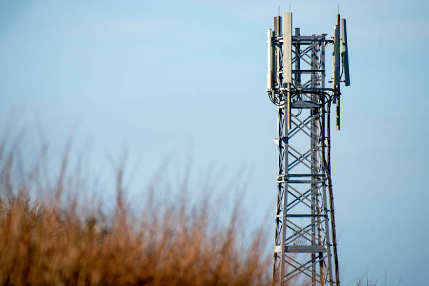 DoT likely to issue guidelines for telecom PLI within week 