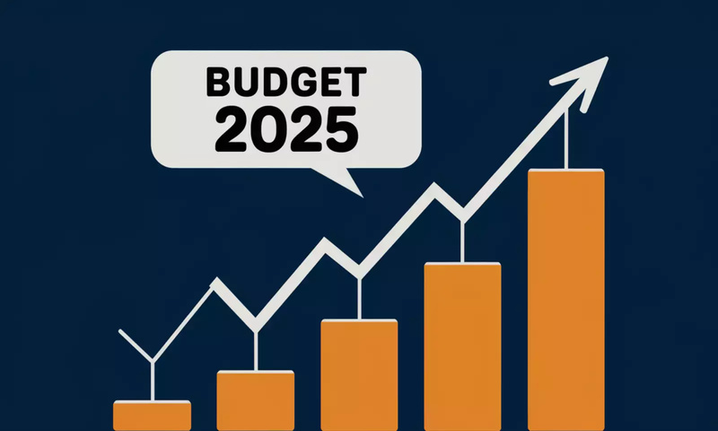 Budget 2025: Will Nifty, Sensex remain open for trade on Saturday, February 1?