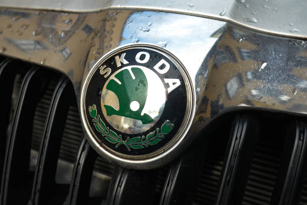 Skoda unlikely to drive in electric vehicle in India anytime soon