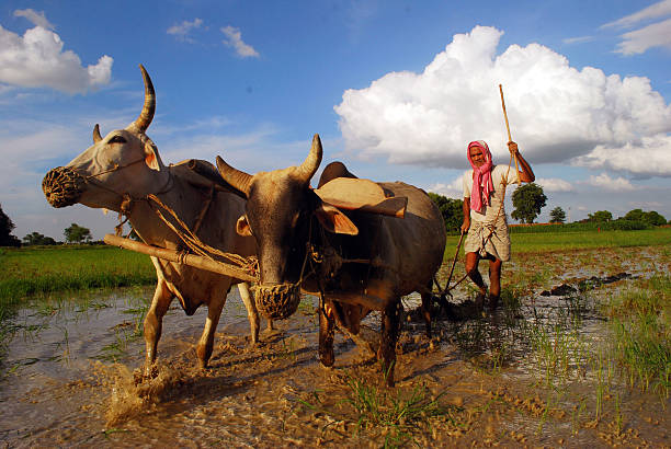 Which farmers diversify away from agriculture?