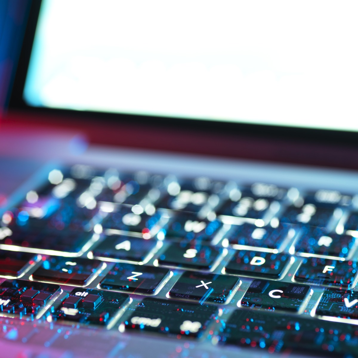 Japan introduces up to one-year jail time for cyberbullying  