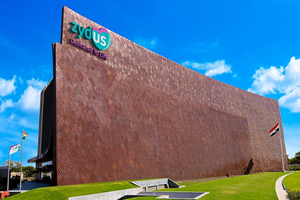 Zydus Lifesciences shares gain on final USFDA approval for Celecoxib capsules