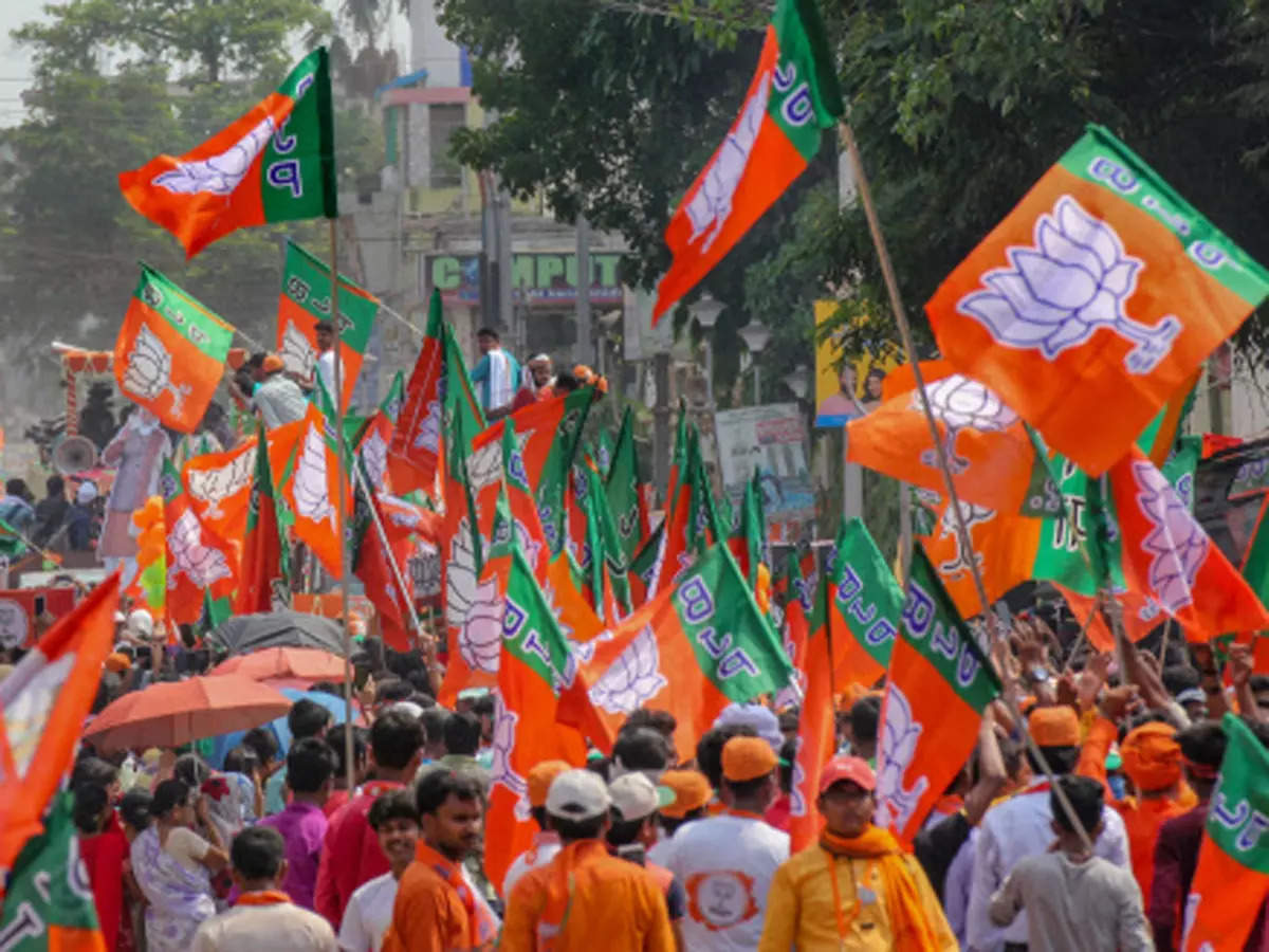BJP looks at gains in Muslim-dominated areas in Uttar Pradesh assembly election 