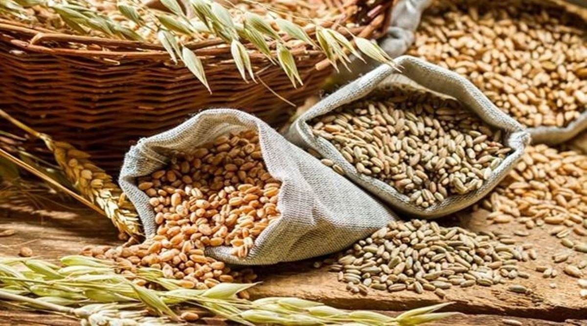 Mandi prices of wheat fall, but still marginally above MSP