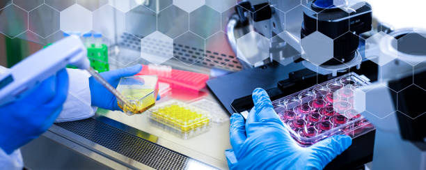 Bengaluru based startup develops ELISA test for fast detection of antibodies