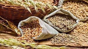 Mandi prices of key kharif pulses, oilseeds rule above minimum support prices