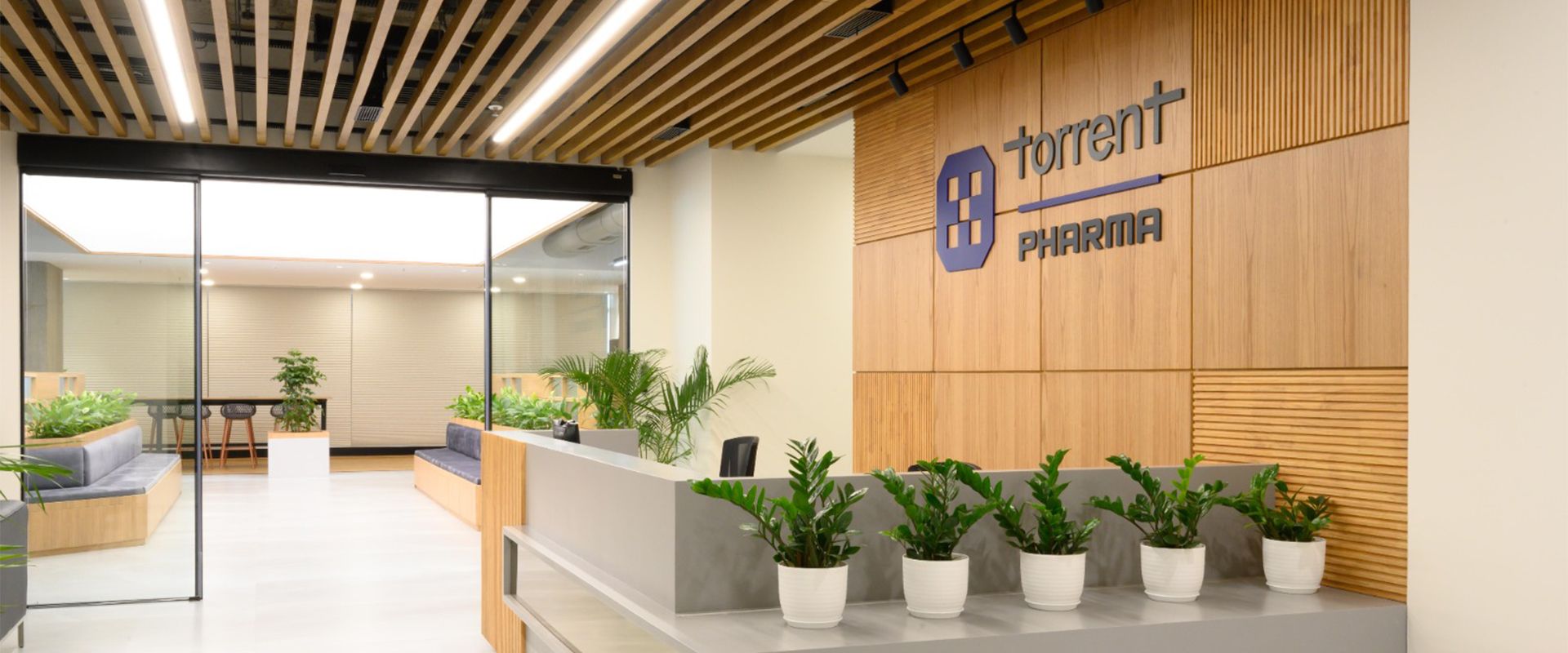 Torrent Pharma shares rise 4?ter Rs 25,689-crore JB Chemicals deal; HSBC maintains buy