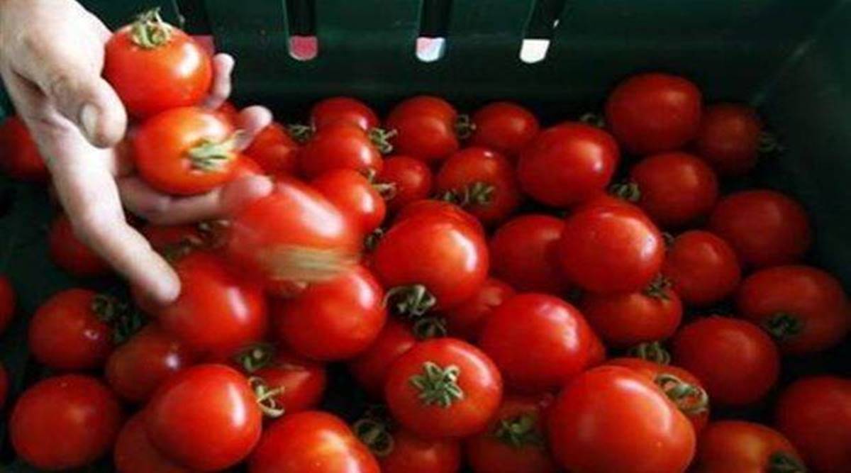 Mandi prices of tomato, onion sharply decline