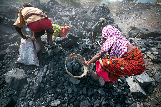 Coal India to continue with fuel supply to power plants under import substitution in current fiscal