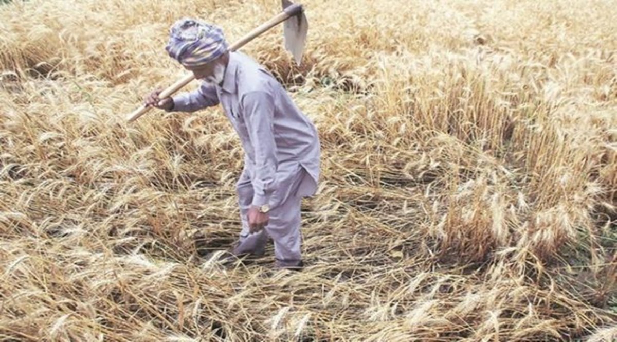 Promote healthy credit culture rather than waiving farm loans: Study