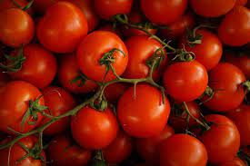 Retail prices of tomato skyrocket up to Rs 77 per kg in metro cities, barring Delhi