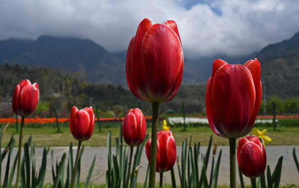 Centre to hold mega tourism event in Srinagar from April 11 to 13