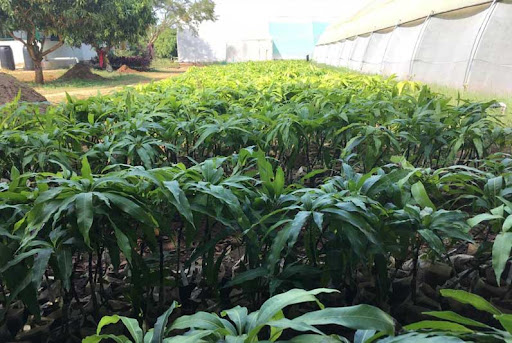 Karnataka to set up 1st horticultural crops processing unit worth Rs500 cr soon