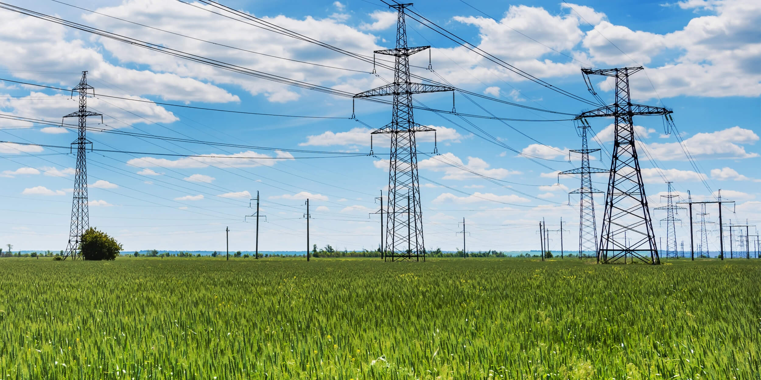 Power Grid shares fall 3% on seeing lower dividend payout for FY26 but expects faster project execution