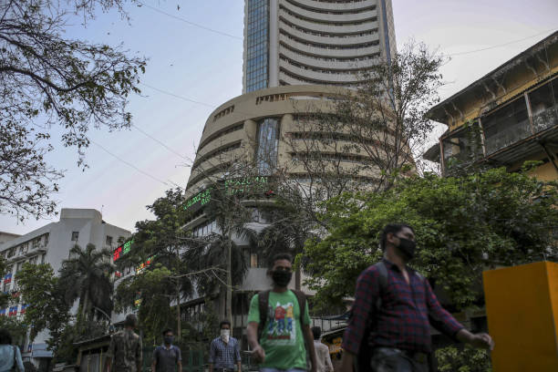 Experts recommend large-cap stocks amid volatile stock markets