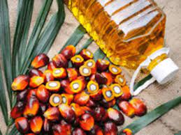 Indonesia extends palm oil export levy waiver to October 31   