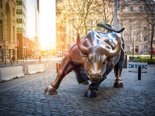Sensex zooms 2,200 pts, Nifty above 24,700: India-Pak ceasefire among key factors behind massive market rally