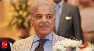 Pakistan PM Shehbaz Sharif to consult his brother Nawaz Sharif on Army chief's appointment  Report