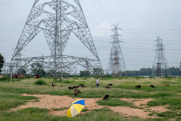 Russia-Ukraine crisis: Indian govt closely monitoring global energy markets, assures fuel price stability