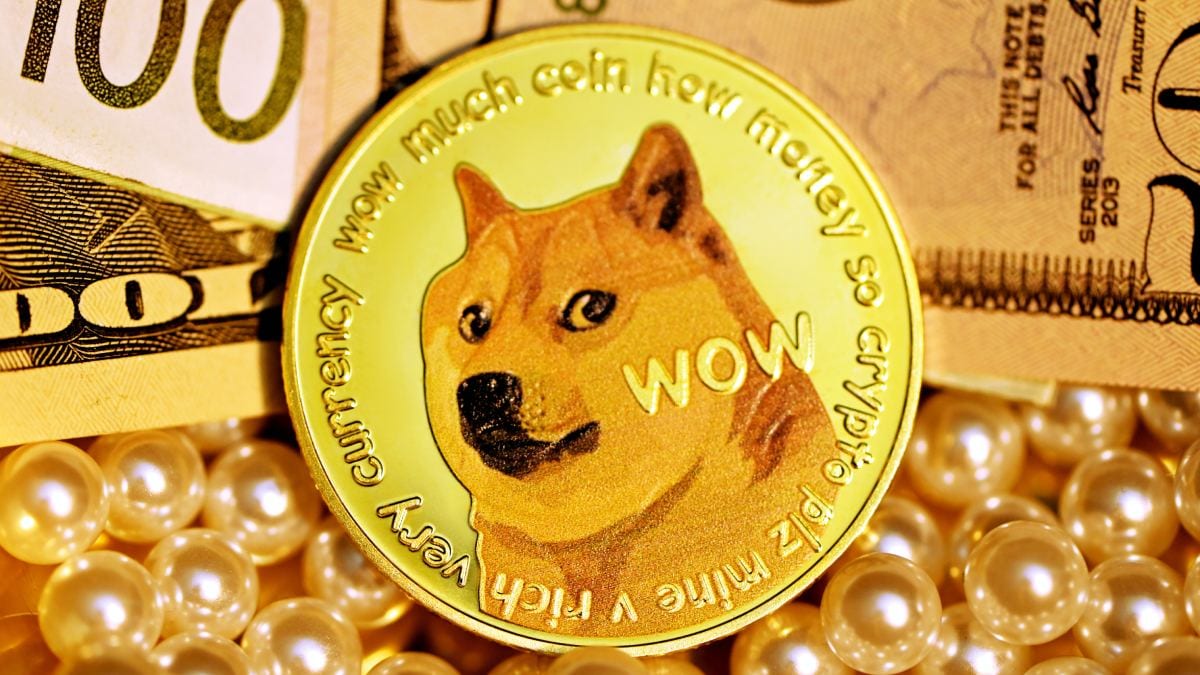 End of dog days? Dogecoin, Shiba Inu out of top 10 cryptocurrency list. What should investors do?