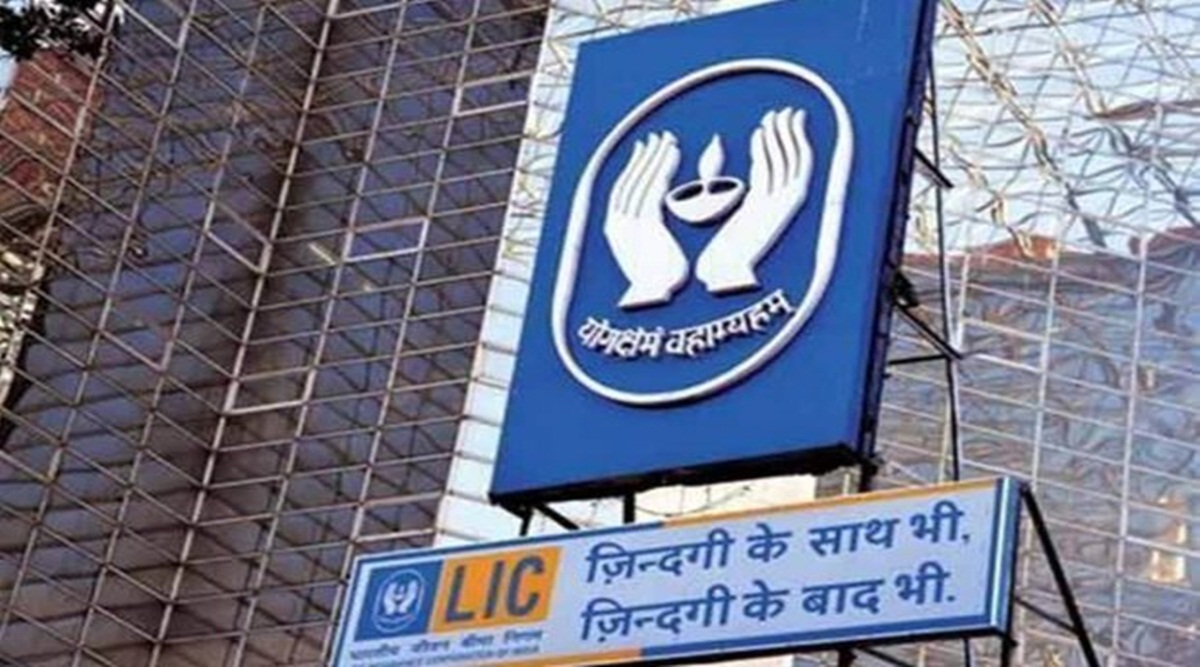 Mega IPO: LIC embedded value well received by large investors