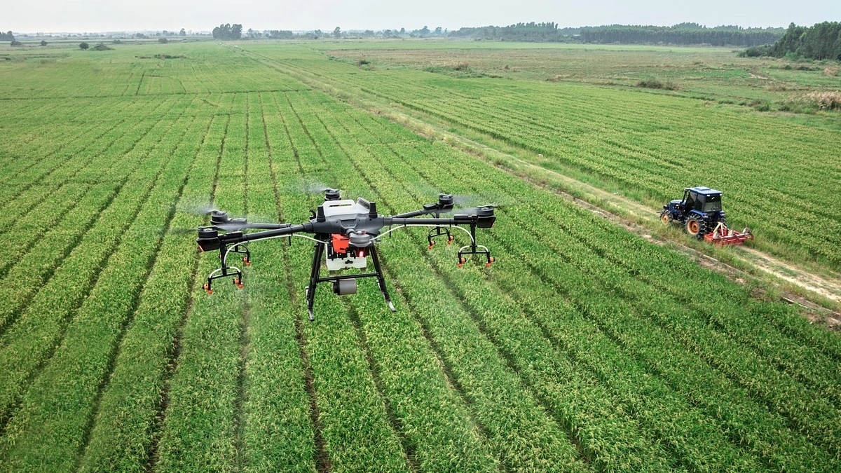 Use of drones in agricultural sector set to gain currency