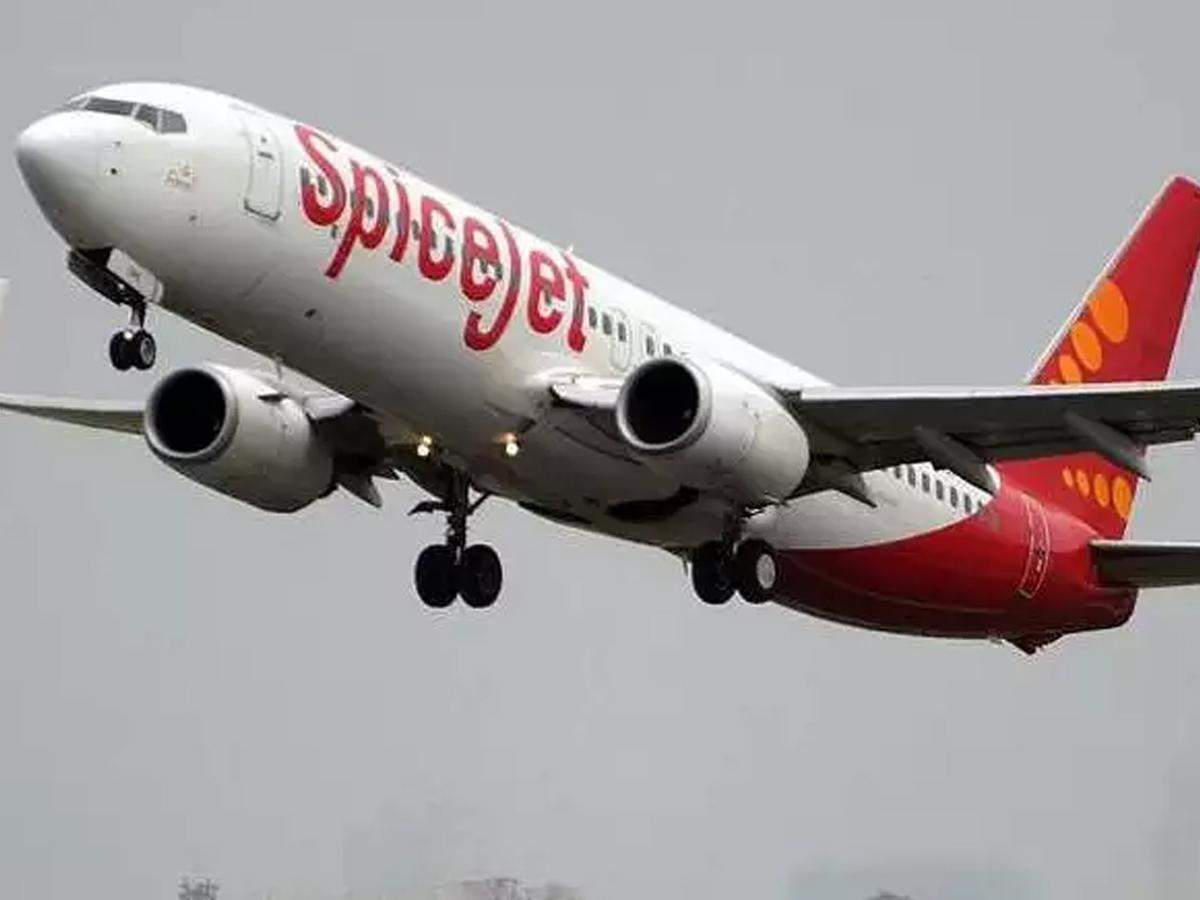 DGCA temporarily suspends SpiceJet's licence to carry dangerous goods  