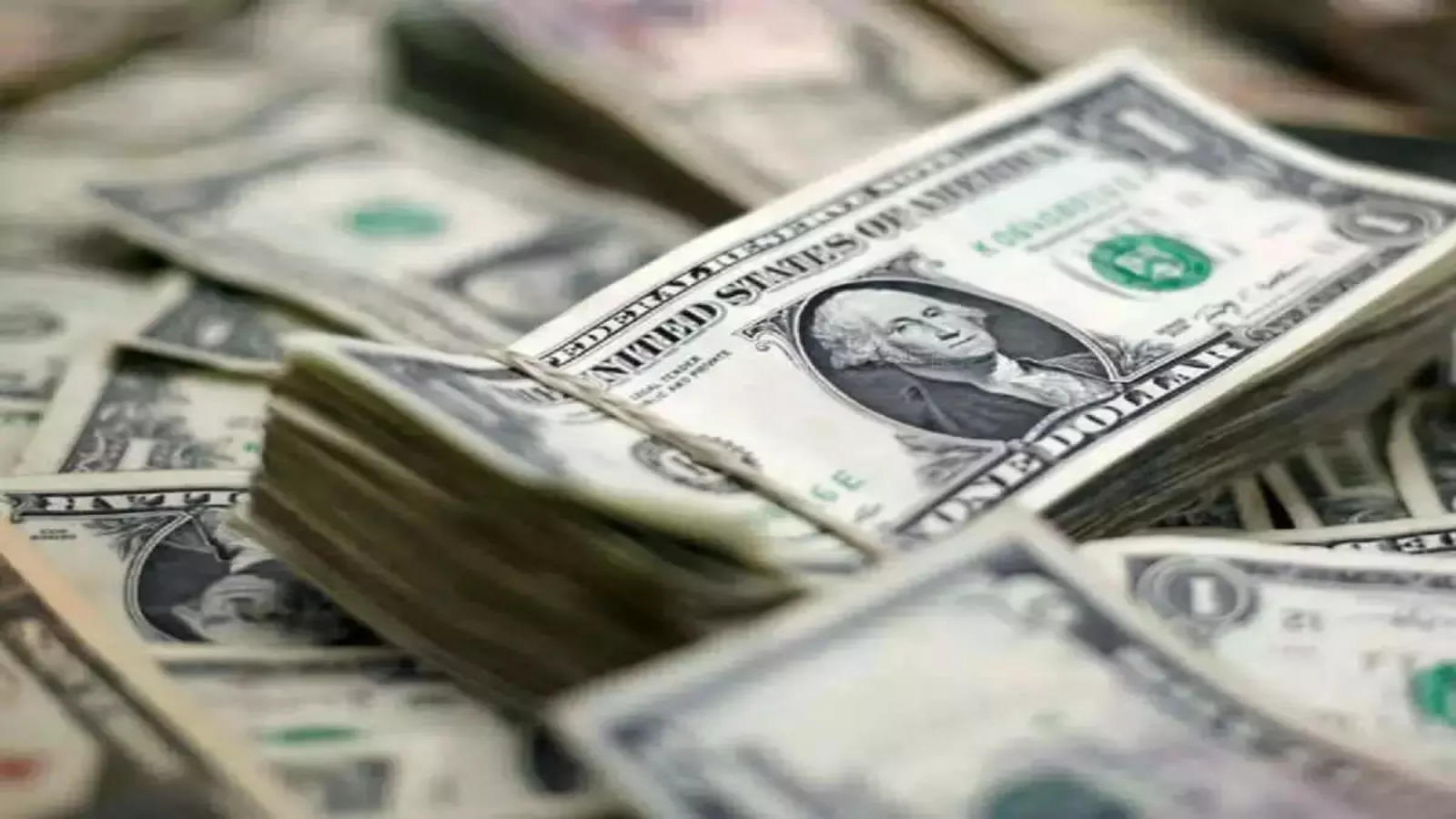 Dollar hovers near 11-week high, eyes on China property briefing