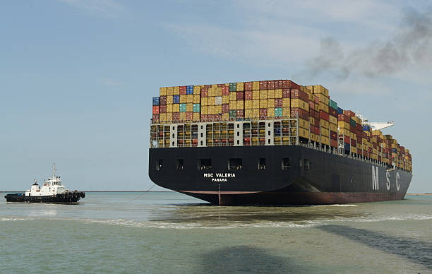 Acquisitions lift Adani Ports stock but debt needs to be managed well