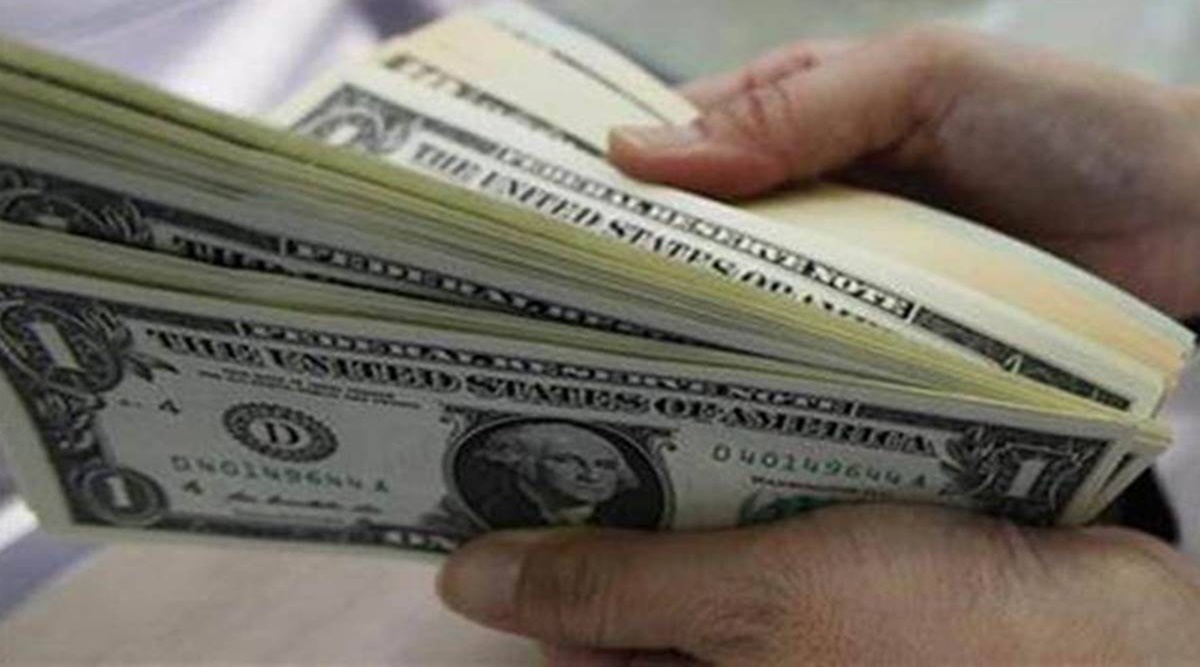 India's forex reserves dip by Dollar 1.46 bn in the last week of 2021