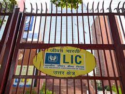 Determination of embedded value ‘work in progress’: LIC MD