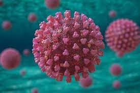 WHO 'strongly advises against' use of two COVID-19 antibody therapies, says British Medical Journal   