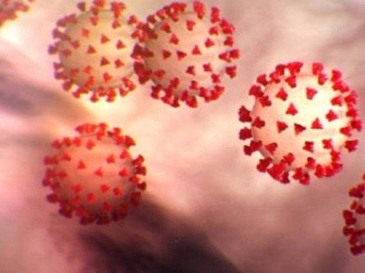 India's next phase of virus crisis likely to be localised outbreaks