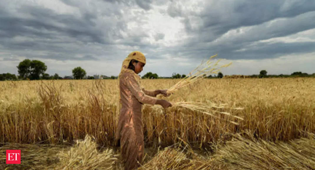 Retail inflation for farm, rural workers eases to 2.89 pc, 3.16 pc in September