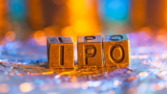 Bankers book bumper fees from Dollar 18 bn in IPOs