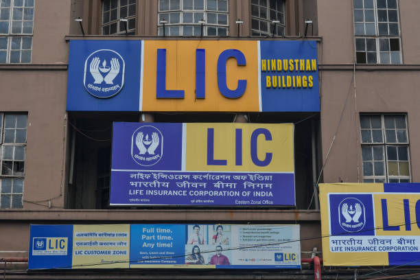 LIC puts up robust show ahead of IPO