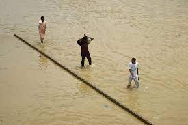  We've gone back 50 years  Pakistan farmers count flood damage