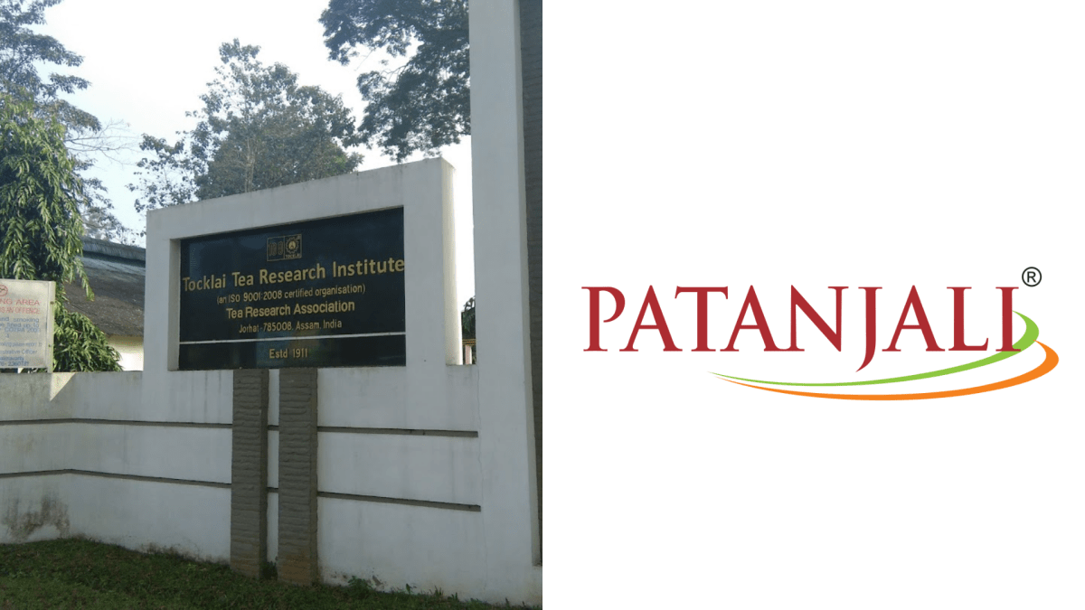 Tea Research Institute to sign research MoU with Patanjali